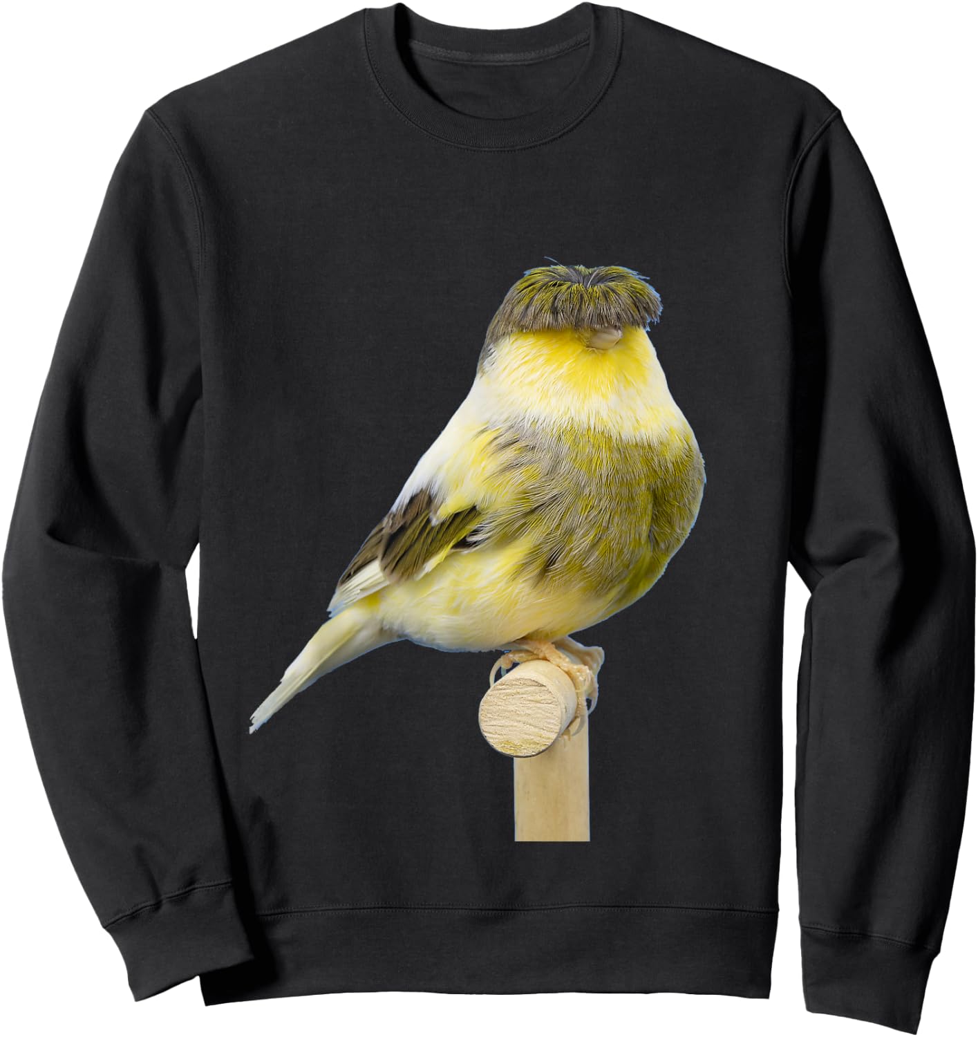 Gloster Canary | Beutiful Canary Gift Sweatshirt - Sweatshirt | Black