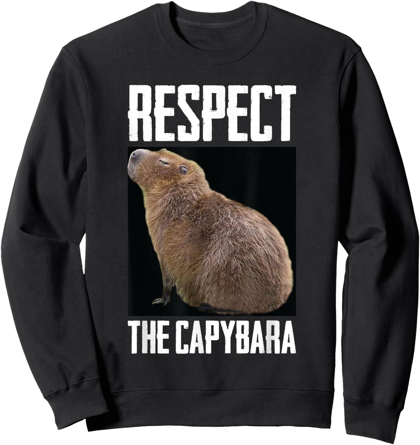 Respect The Capybara Funny Rodent Capibara Photo Sweatshirt - Sweatshirt | Black