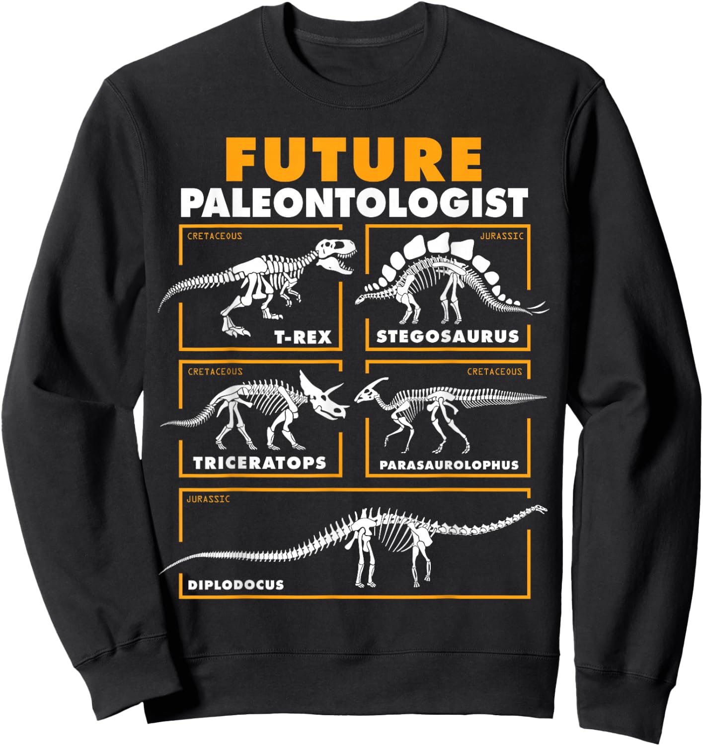 Future Paleontologist Dinosaur Fossil Paleontology Kids Boys Sweatshirt - Sweatshirt | Black