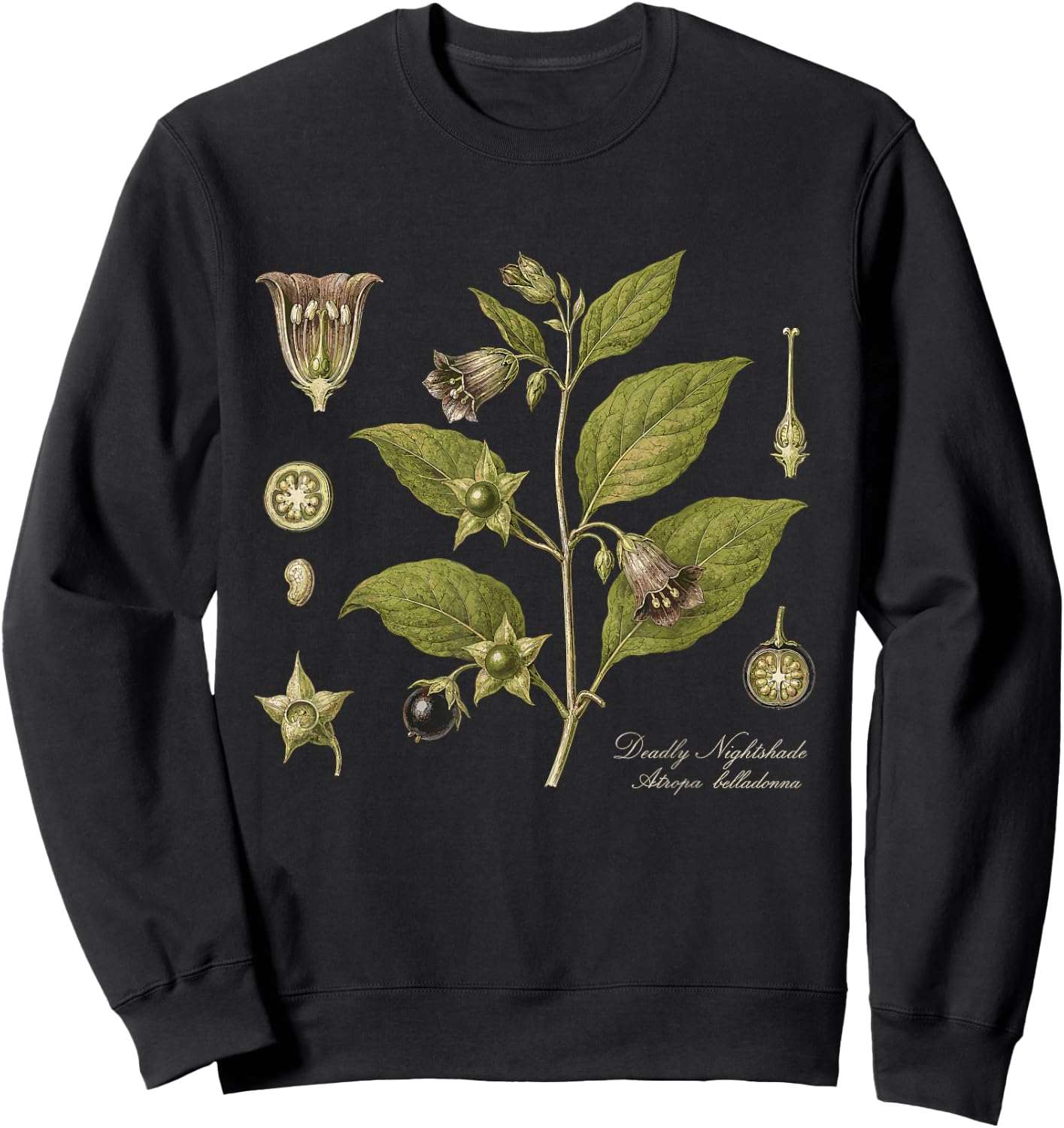 Deadly Nightshade Atropa Belladonna Vintage Botanical Sweatshirt - Sweatshirt | Black