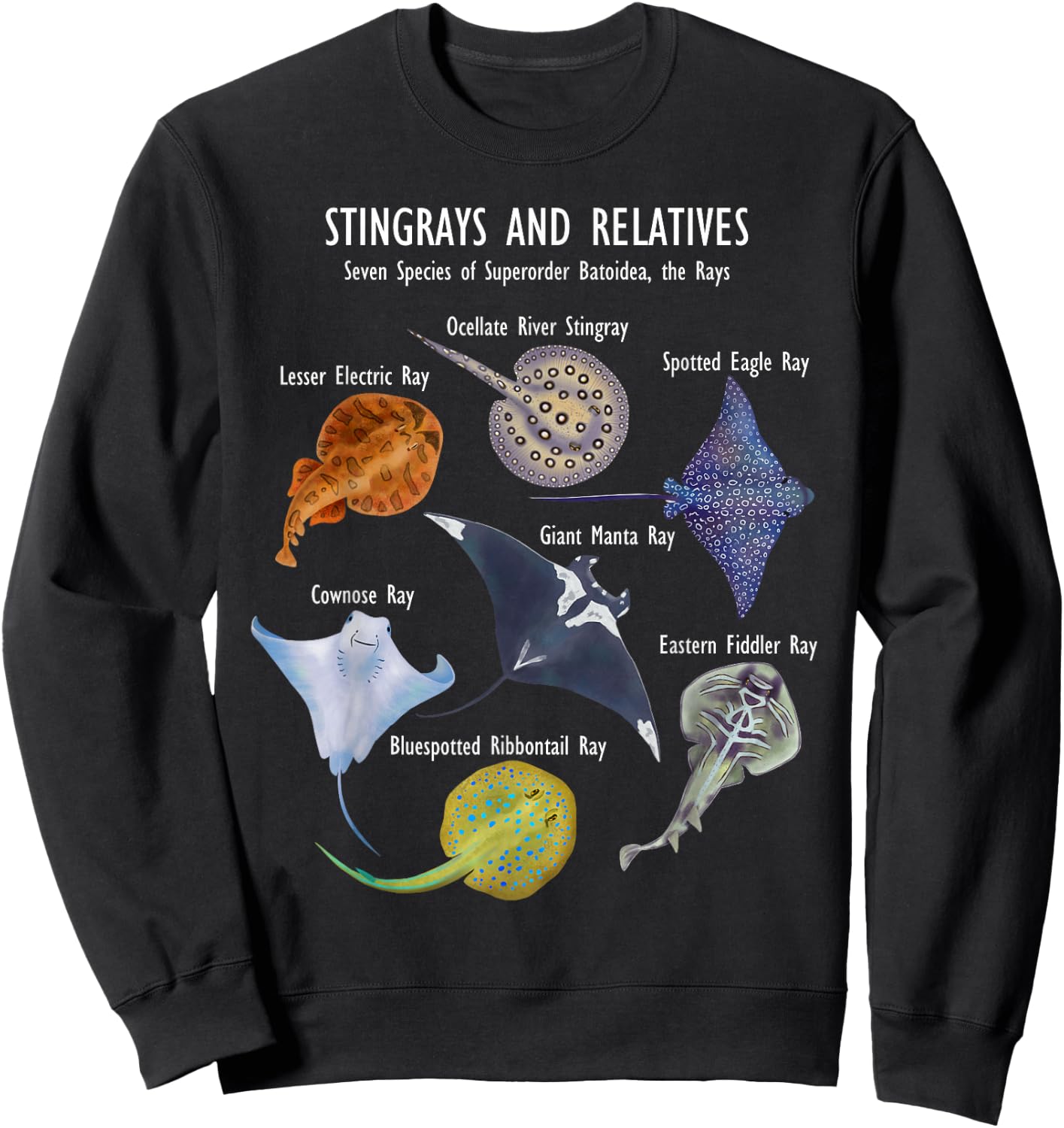 Stingray Species: Manta Ray, River Stingray, and More Sweatshirt - Sweatshirt | Black