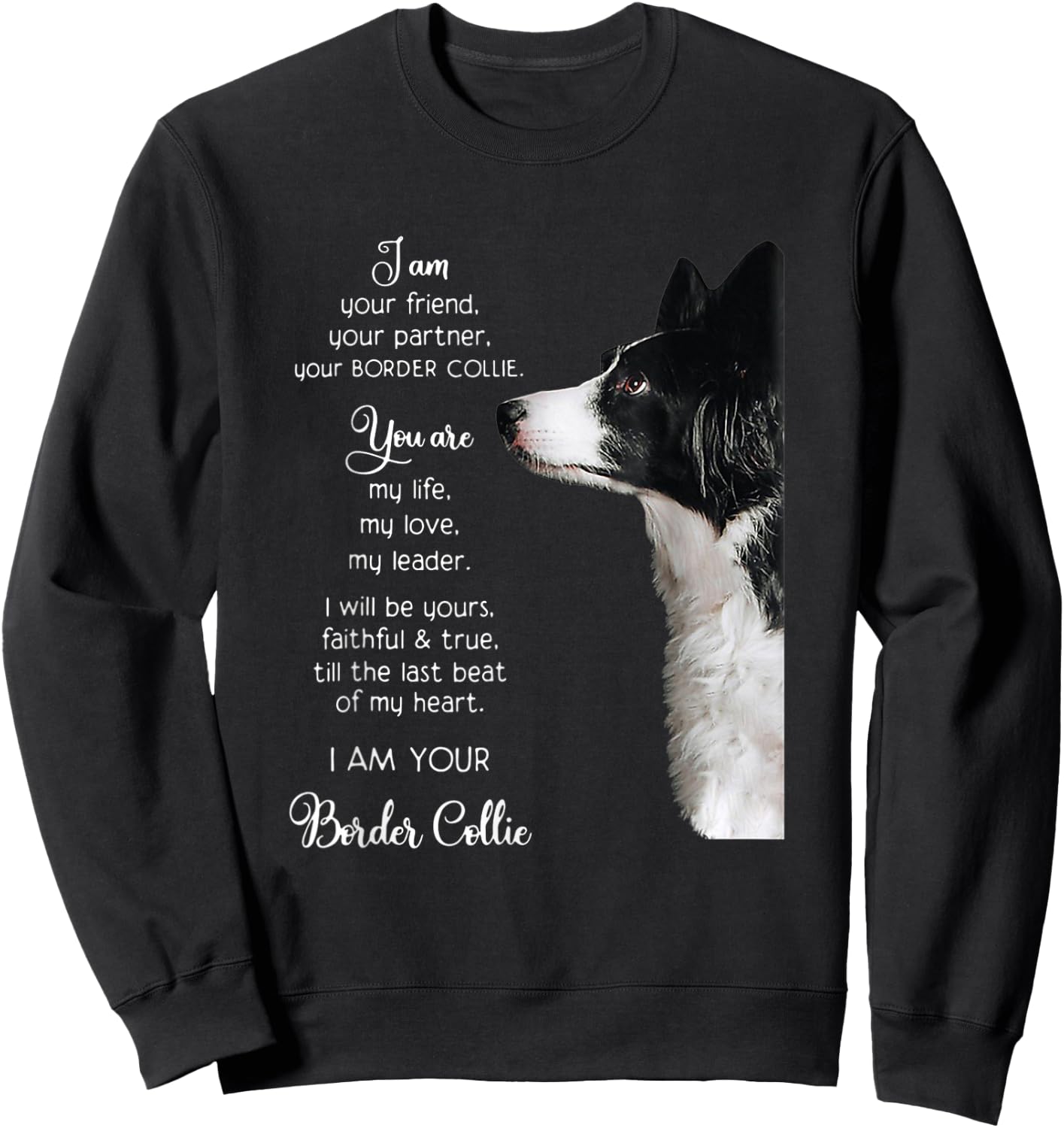 Funny I Am Your Friend Your Partner Your Border Collie Gift Sweatshirt - Sweatshirt | Black