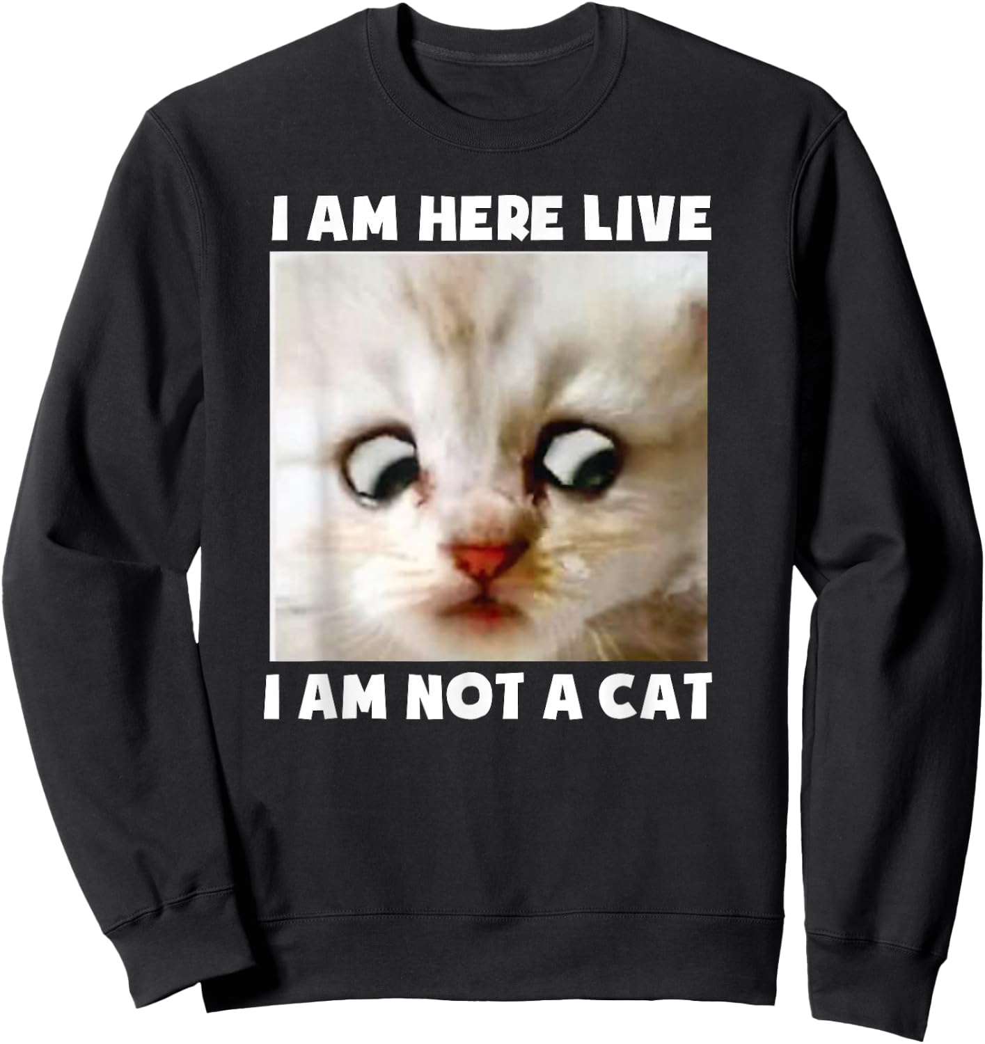 I Am Here Live I Am Not A Cat Funny Lawyer Cat Meme Sweatshirt - Sweatshirt | Black
