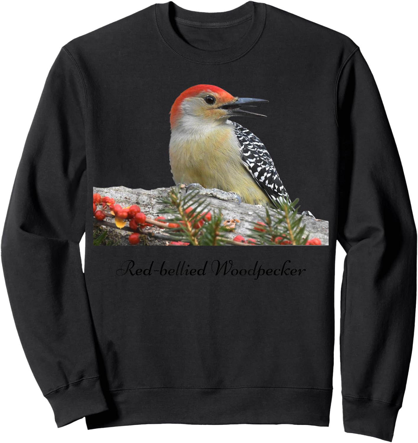 Red-bellied Woodpecker Bird Ornithology Sweatshirt - Sweatshirt | Black