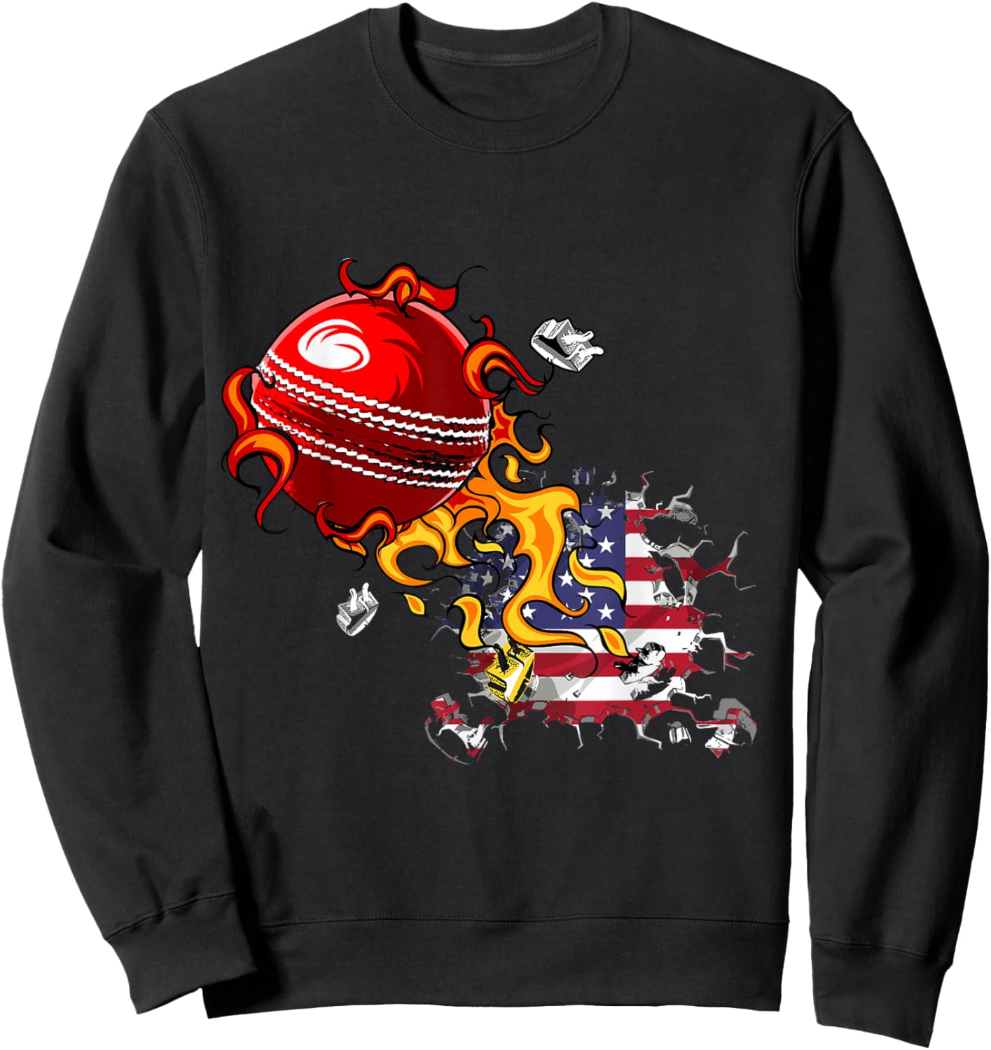 USA Cricket Sweatshirt - Sweatshirt | Black