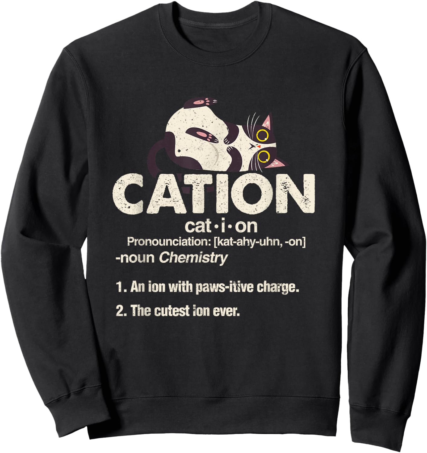 Cation Cute Science Cat Pawsitive Chemistry Teacher Gift Sweatshirt - Sweatshirt | Black