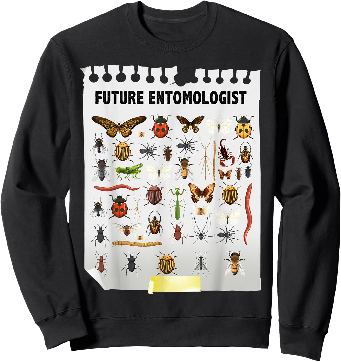 Cute Future Entomologist Insect Chart & Bug Catchers Costume Sweatshirt - Sweatshirt | Black