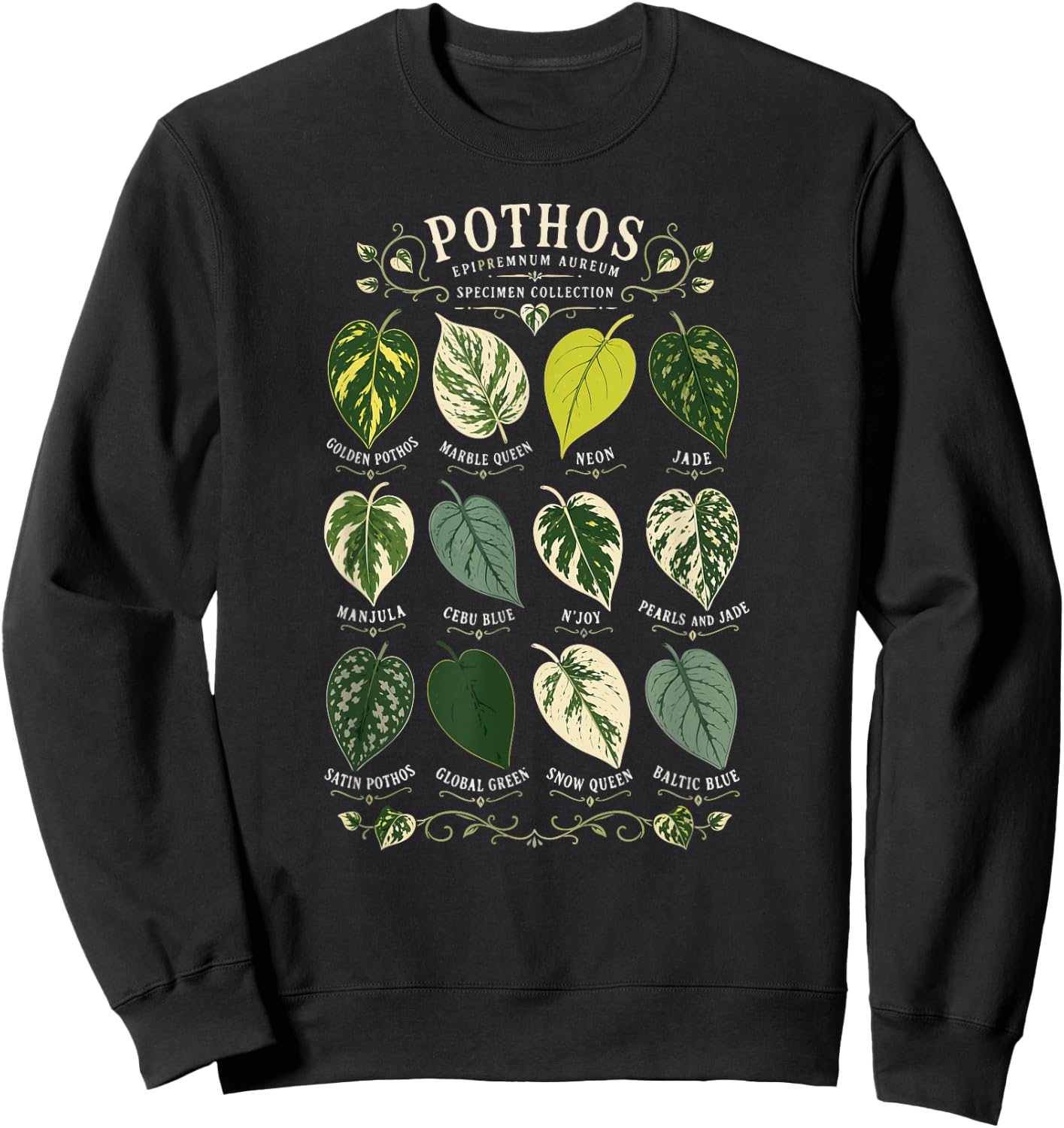Pothos Plant Varieties Botanical Houseplant Design Sweatshirt - Sweatshirt | Black