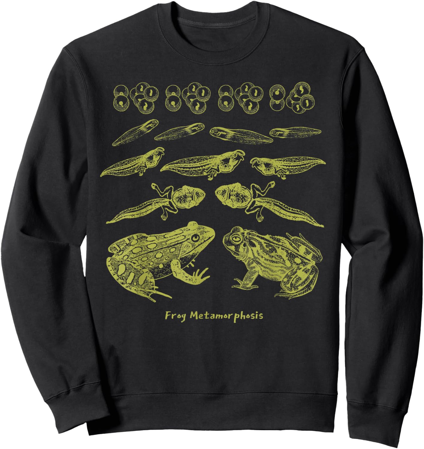 Frog Tadpole Life Cycle Biology Teacher Vintage Science Sweatshirt - Sweatshirt | Black