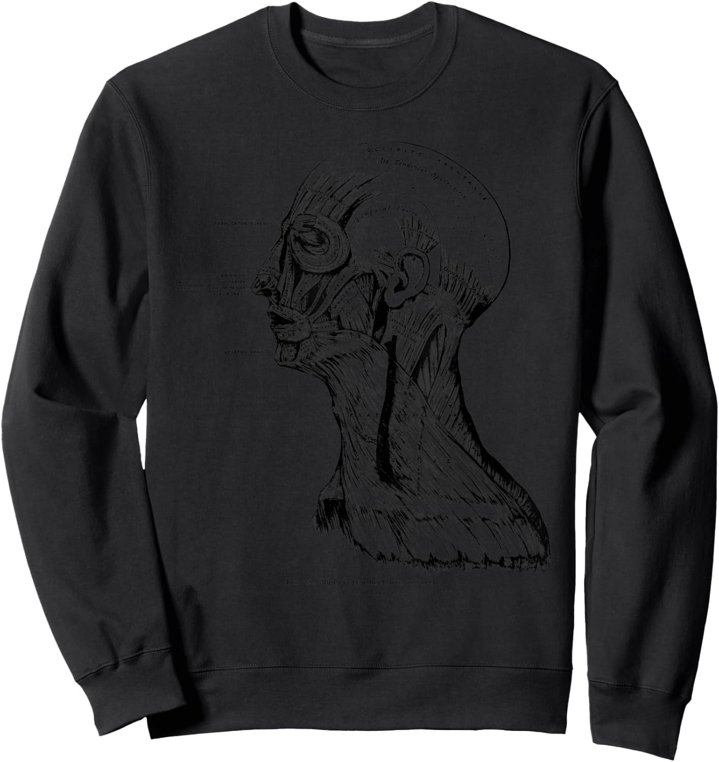 Vintage Anatomy Myology Facial and Neck Muscles Sweatshirt - Sweatshirt | Black
