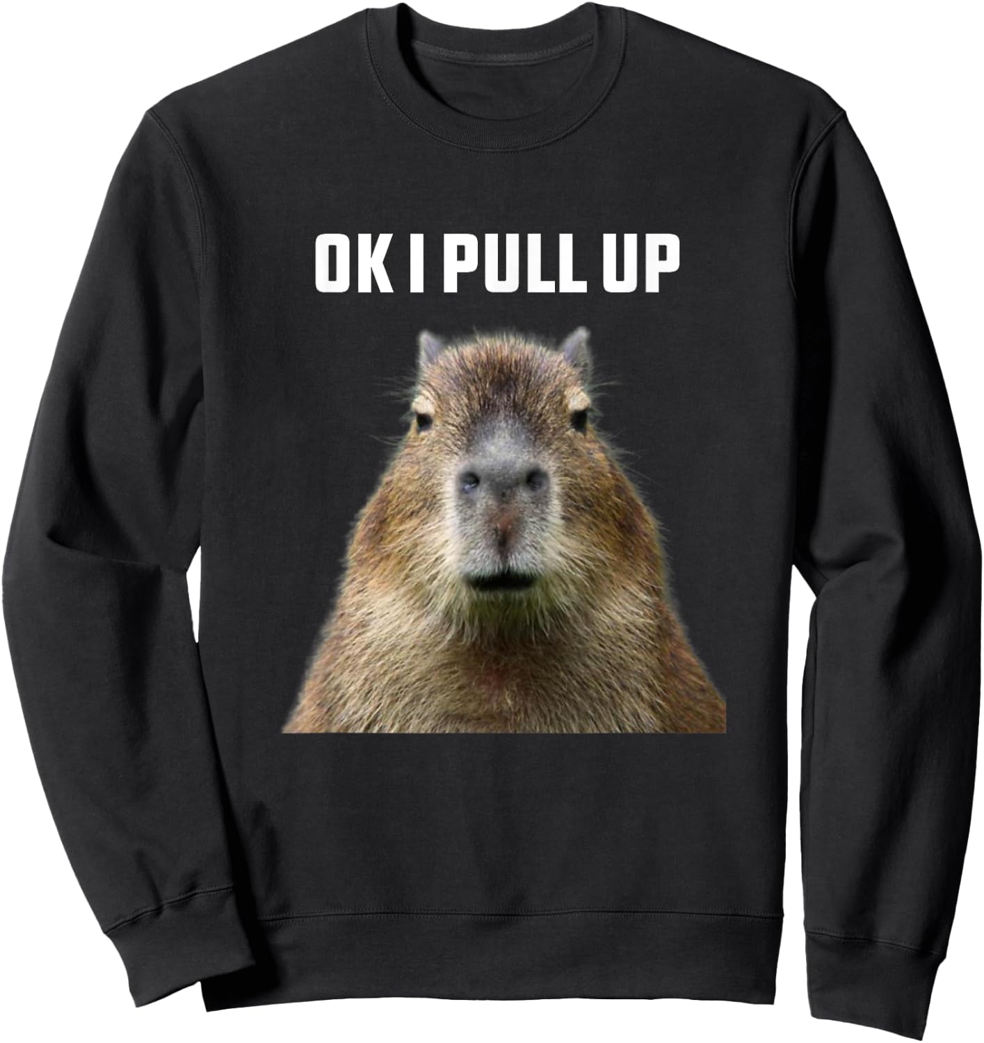 Ok I Pull Up Capybara , Black Sweatshirt - Sweatshirt | Black