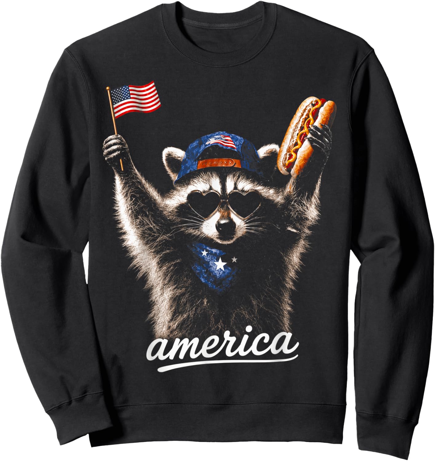 America Meme Raccoon 4th July Hot Dog Lovers Sweatshirt - Sweatshirt | Black