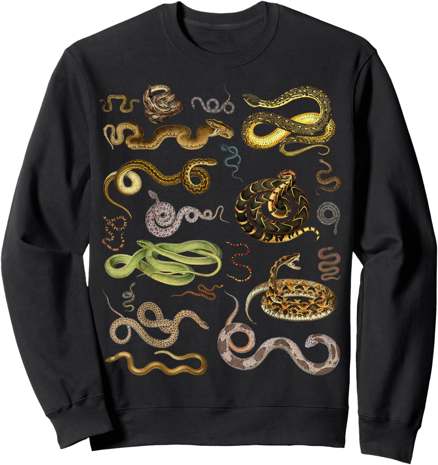 Types Of Snakes Herpetologist Educational Kids Boys Girls Sweatshirt - Sweatshirt | Black