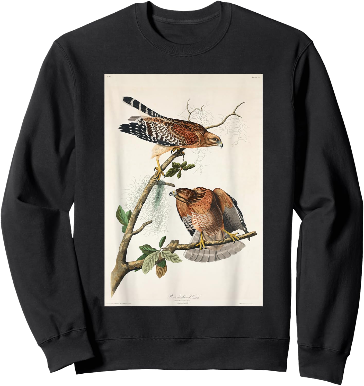 Vintage Red-Shouldered Hawks Birds Illustration Men & Women Sweatshirt - Sweatshirt | Black