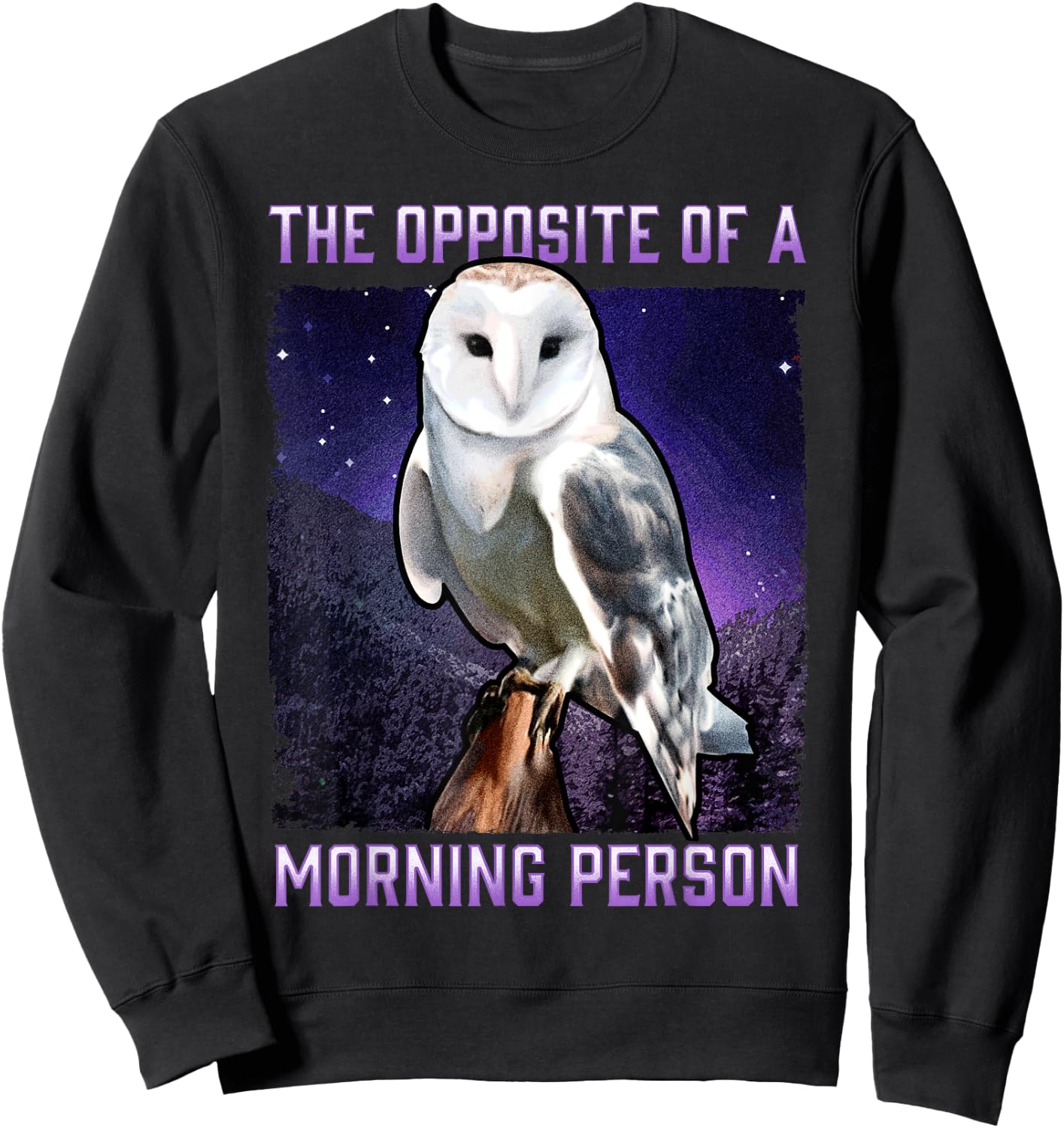 Snowy Owl Opposite of a Morning Person Bird Night Owl Sweatshirt - Sweatshirt | Black