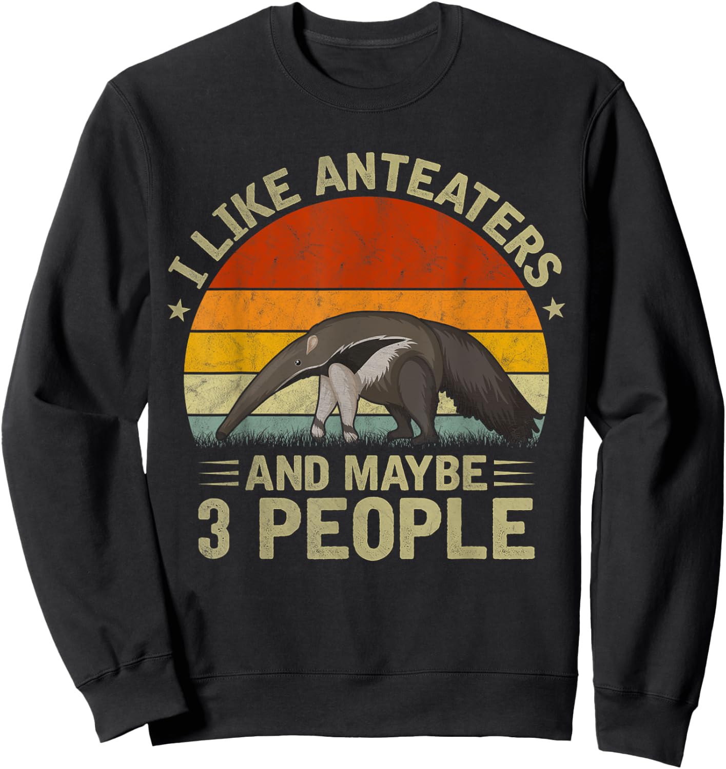 I Like Anteaters and Maybe 3 People Anteater Lover Retro Sweatshirt - Sweatshirt | Black
