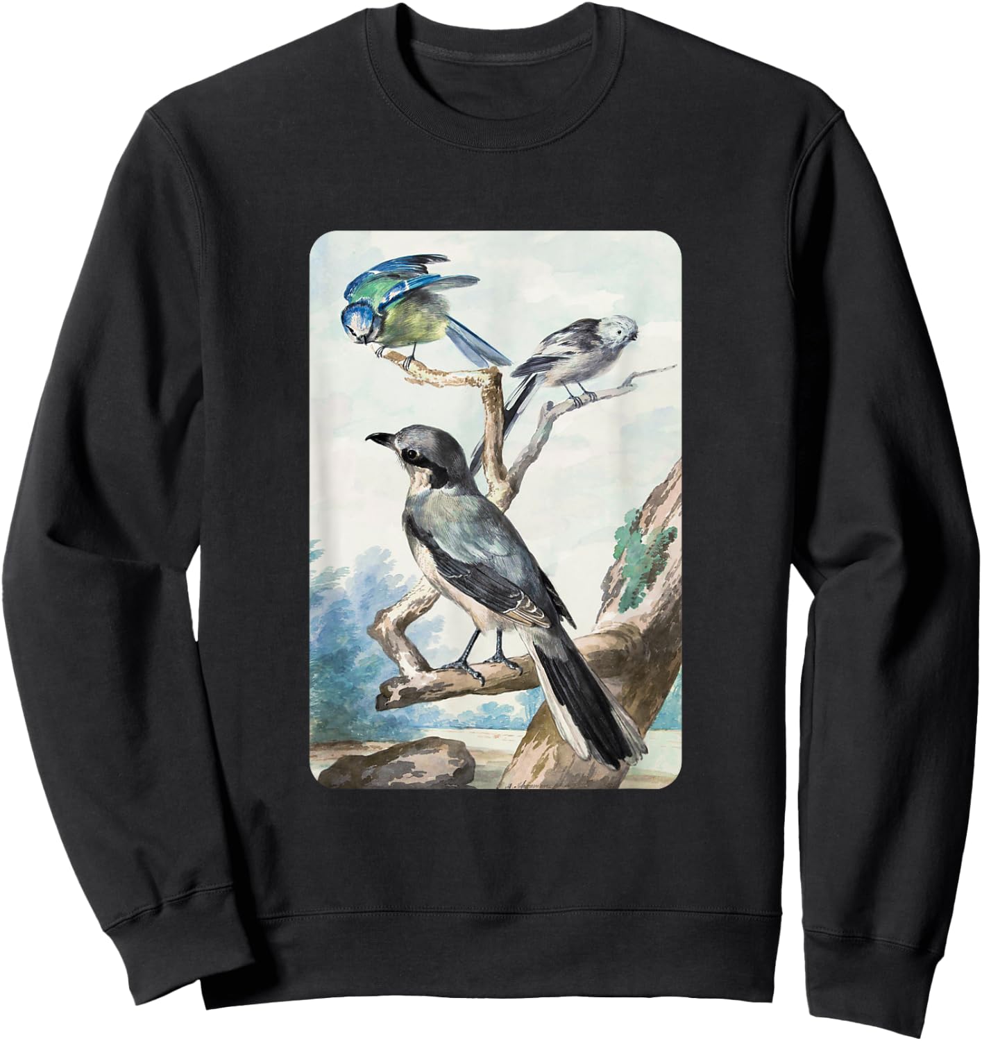 Long-tailed Tit Blue Tit and Great Shrike By Aert Schouman Sweatshirt - Sweatshirt | Black