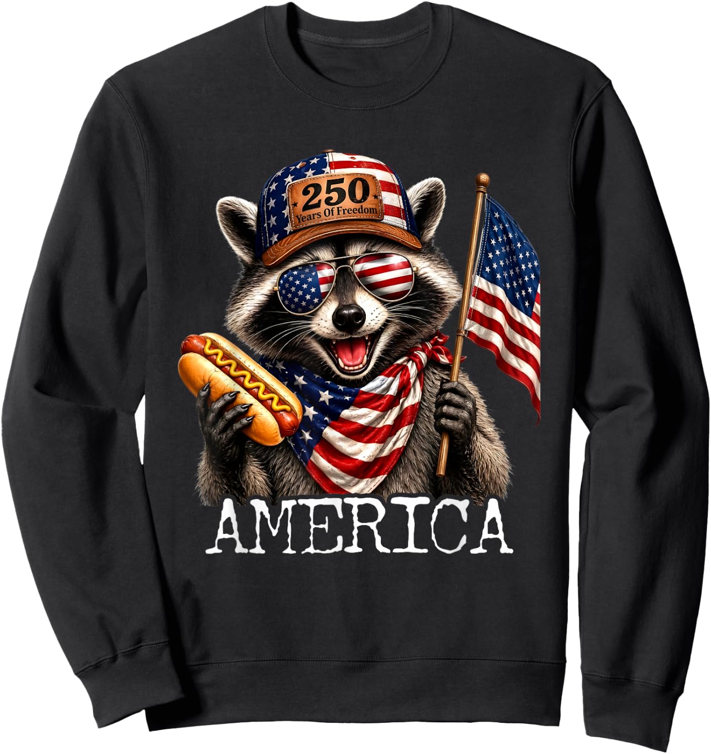America Meme Raccoon Hot Dog 250 Years 1776 2026 4th of July Sweatshirt - Sweatshirt | Black
