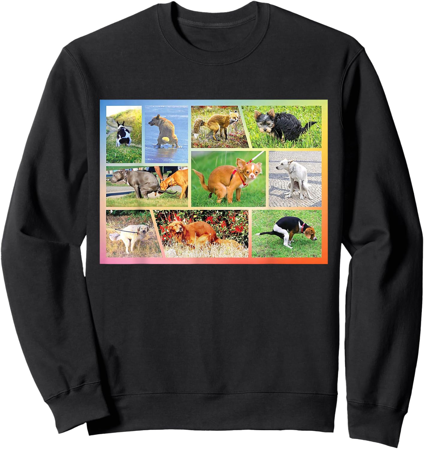 Fun Pooping Chihuahua Pet Owner Humor Dog Lover Sweatshirt - Sweatshirt | Black