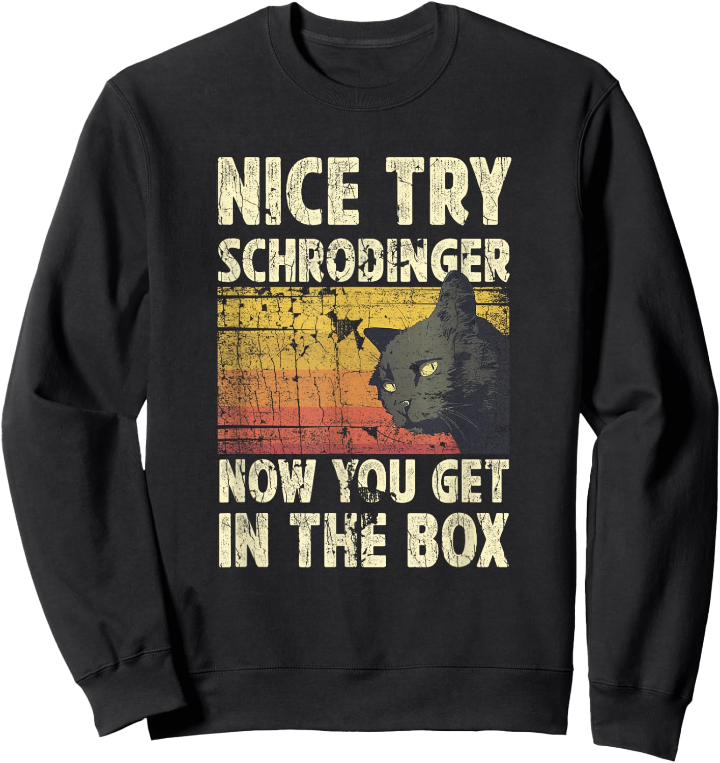 Nice Try Schrodinger Now You Get In The Box Black Cat Men Women Sweatshirt - Sweatshirt | Black