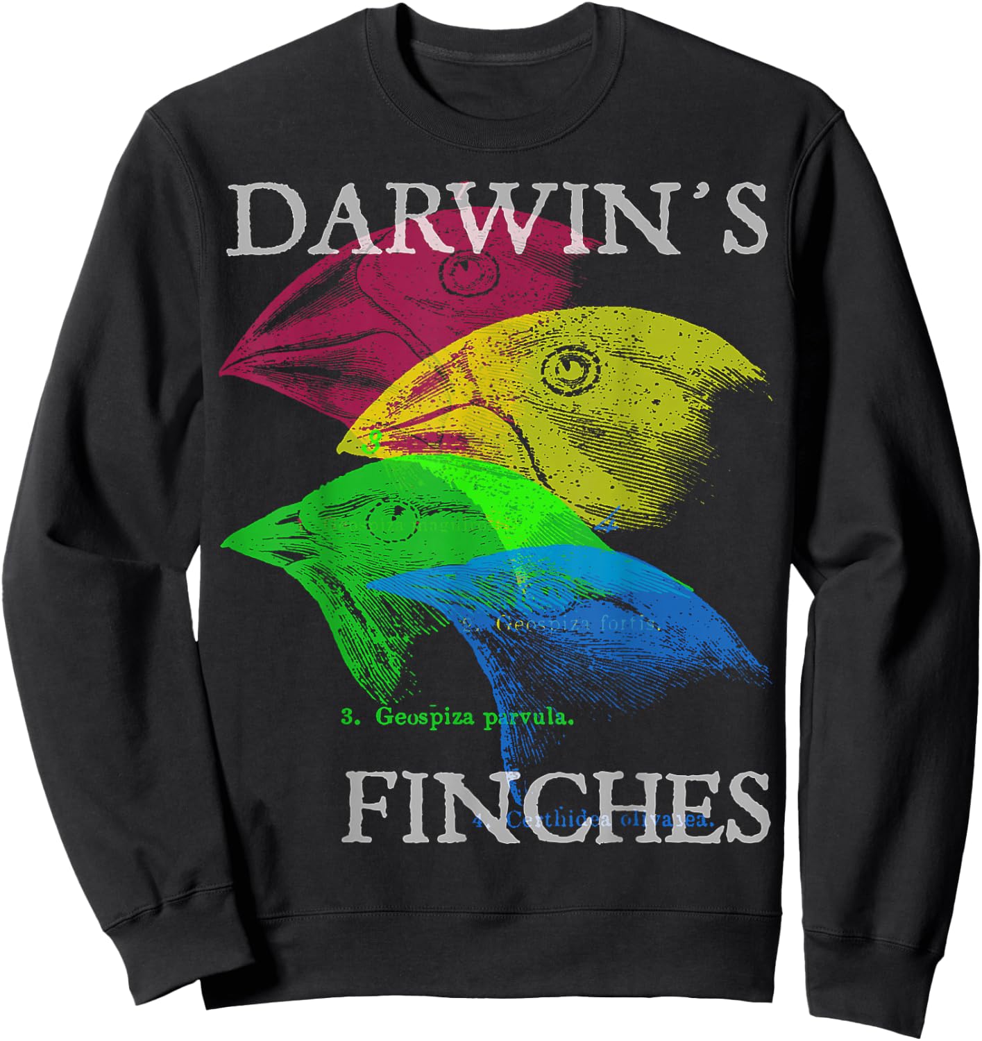 Nerdy Darwin's Finches Evolution Science Biology Teacher Sweatshirt - Sweatshirt | Black