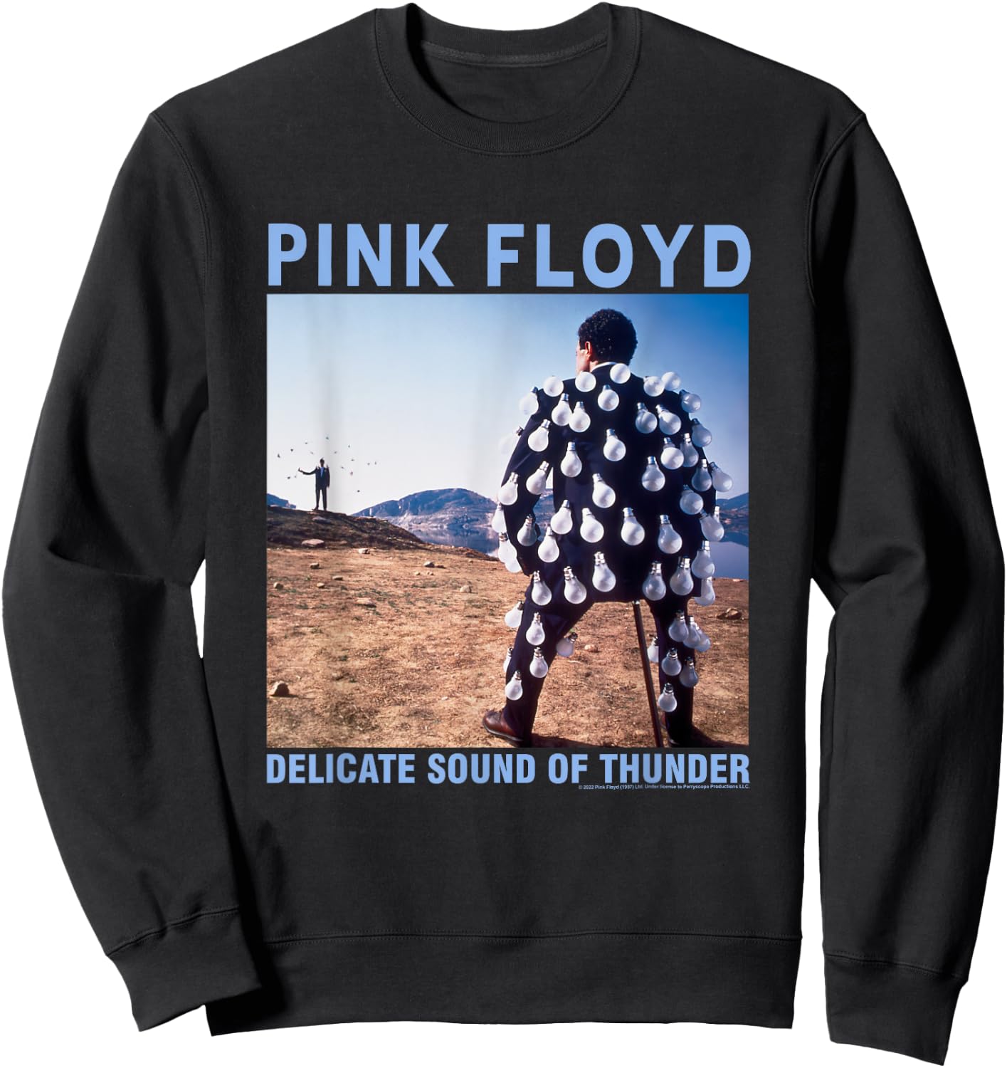 Pink Floyd Delicate Sound Sweatshirt - Sweatshirt | Black