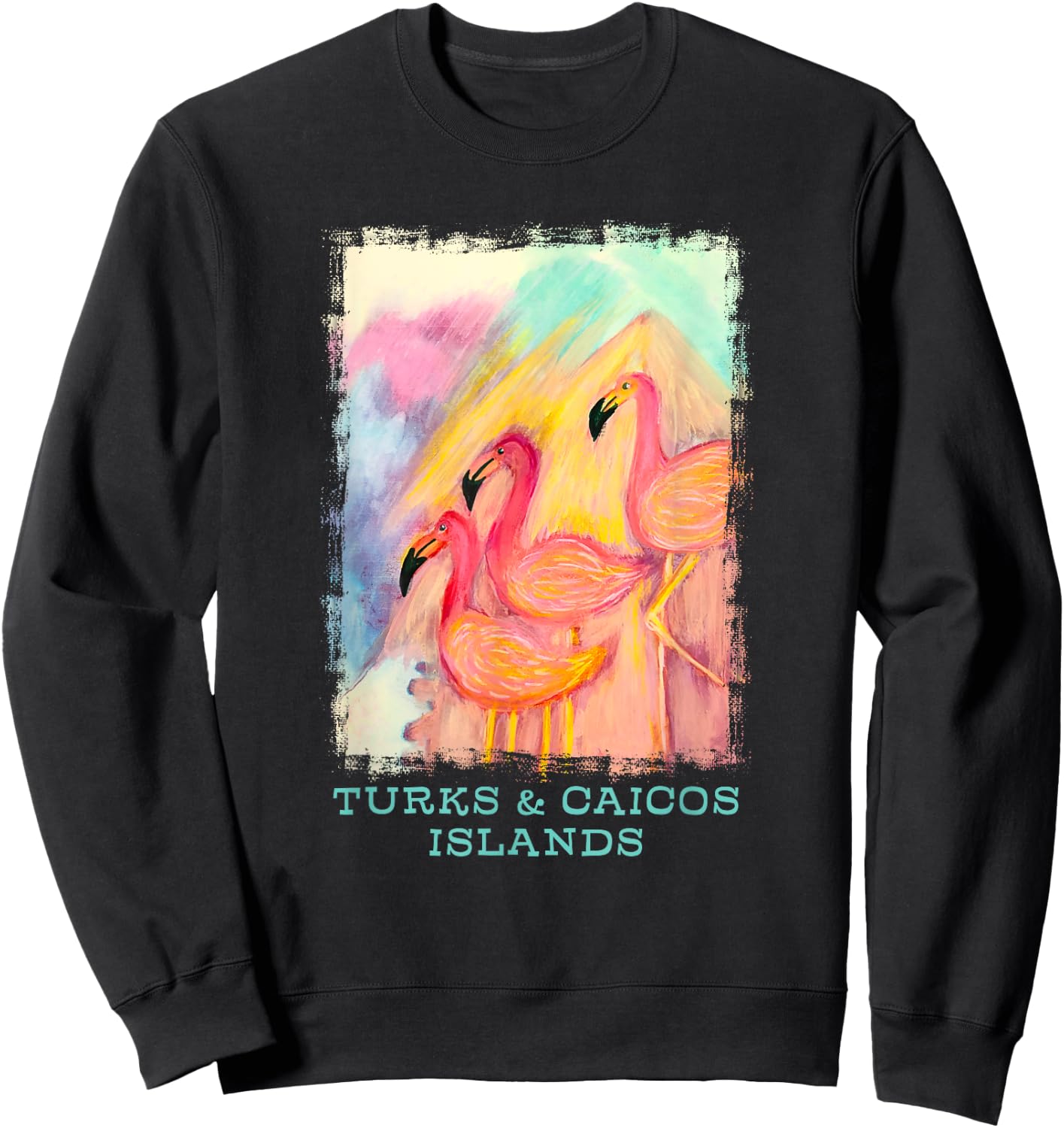 Turks and Caicos Islands Flamingo Birds Birders Souvenir Sweatshirt - Sweatshirt | Black