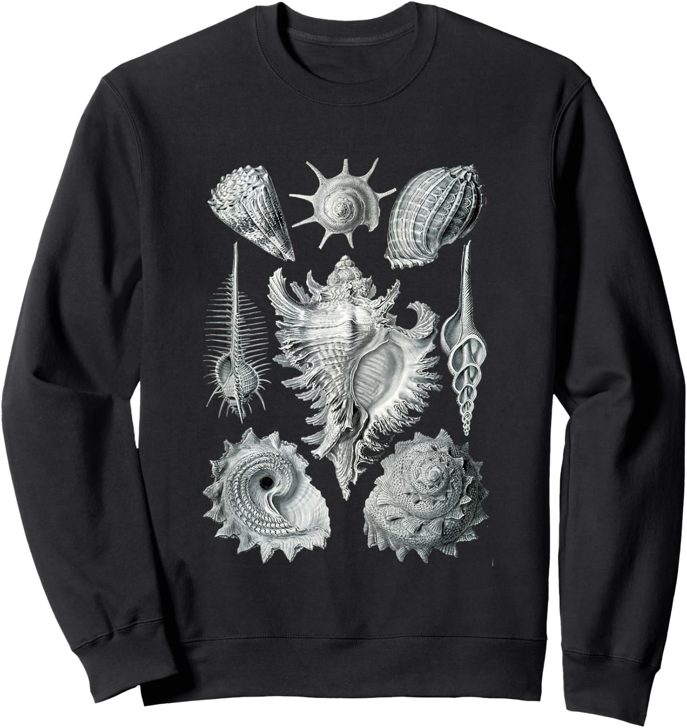 Sea Shells Botanical Ocean Vintage Scientific Drawing Art Sweatshirt - Sweatshirt | Black
