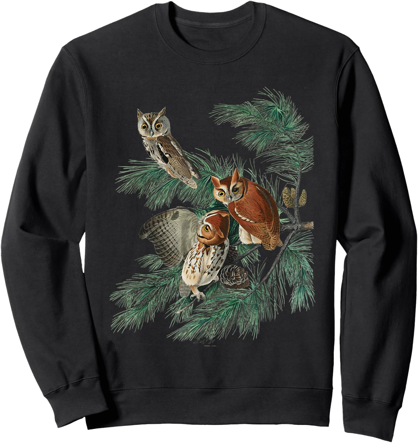 Vintage Little Screech Owl Bird Illustration & Women Sweatshirt - Sweatshirt | Black