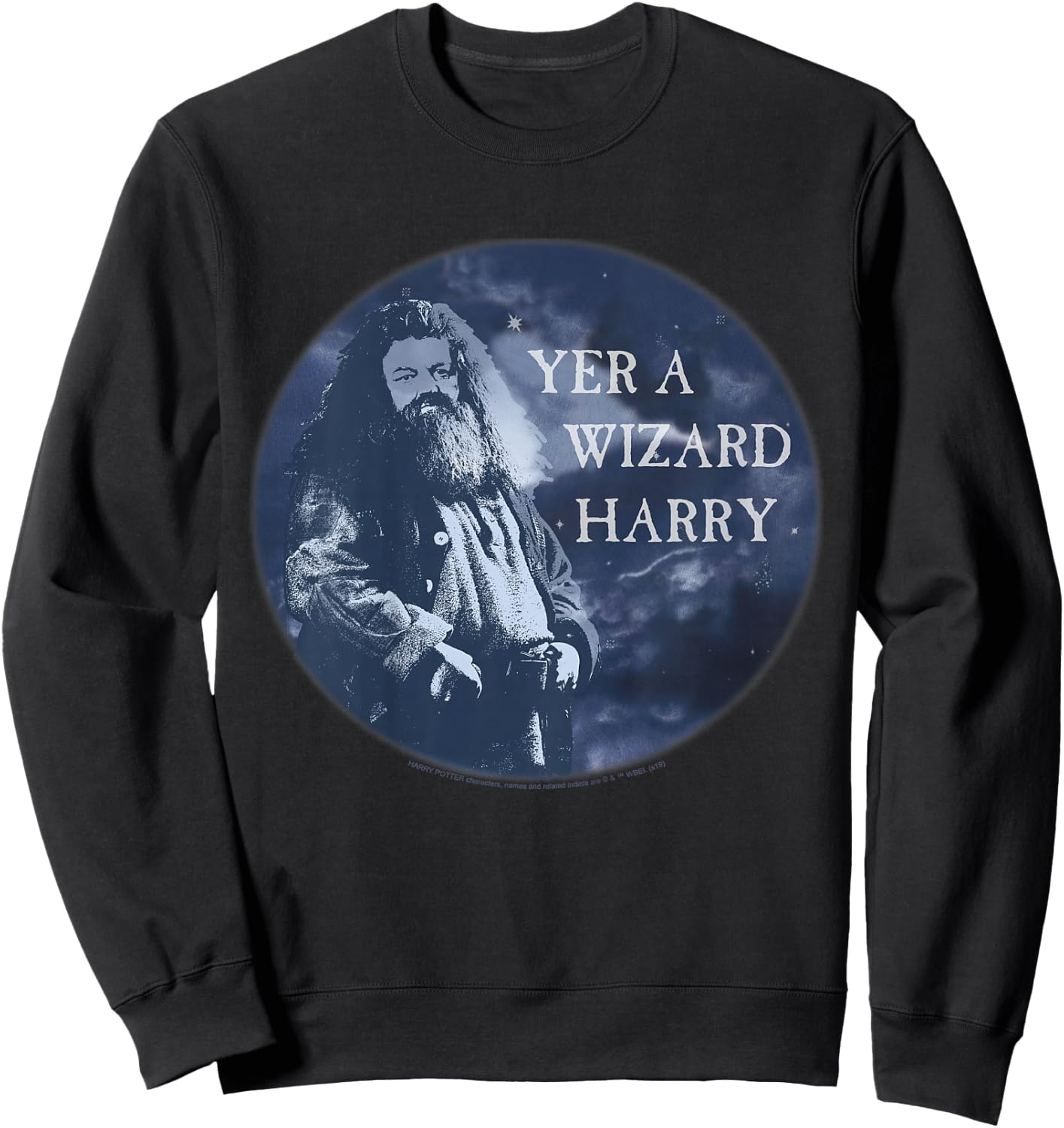 Kids Harry Potter Hagrid Yer A Wizard Harry Portrait Sweatshirt - Sweatshirt | Black