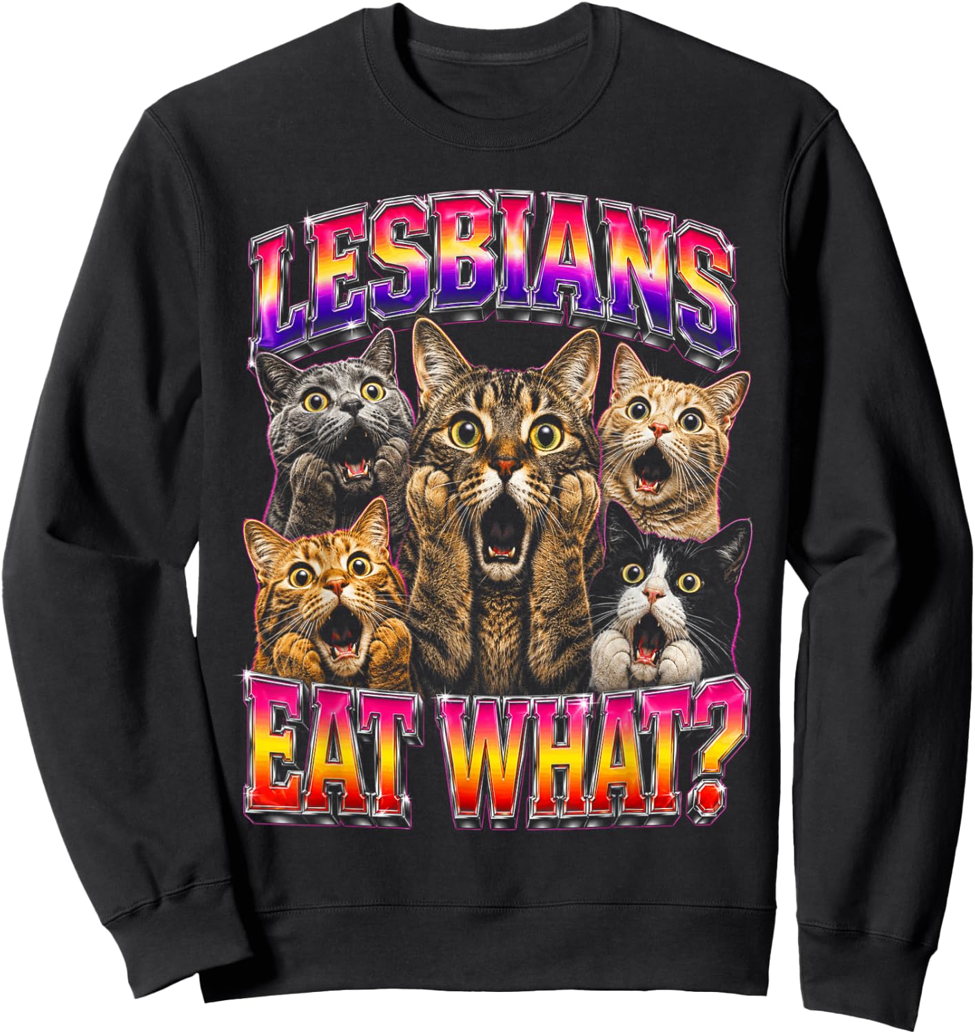 Gay Pride Funny Cats Ally Lesbian LGBT Sweatshirt - Sweatshirt | Black