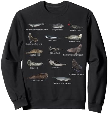 Types of Seals Eared Seals True Earless Seals Seal Lovers Sweatshirt - Sweatshirt | Black