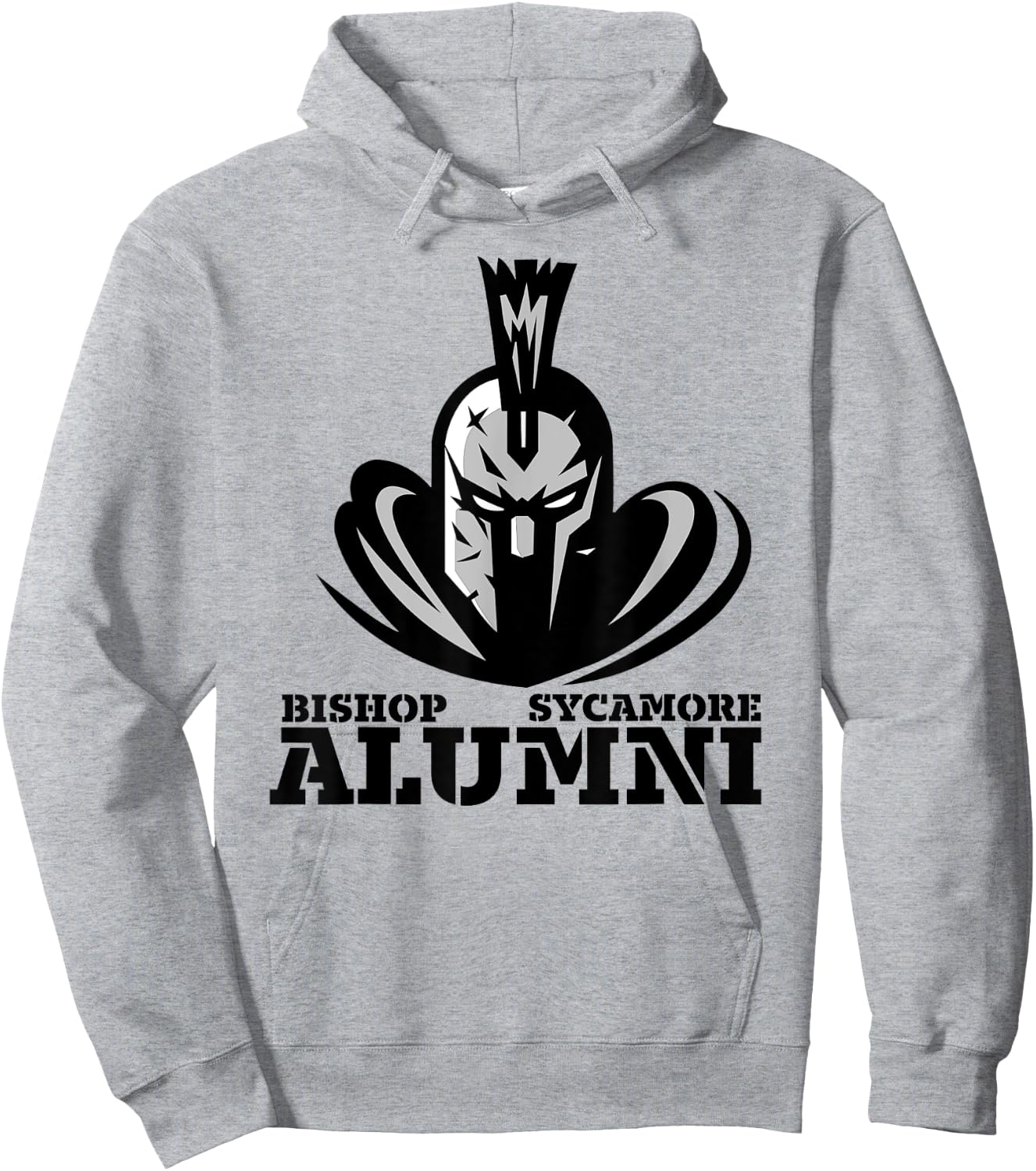 Bishop Sycamore Fake Football Team Varsity Alumni Hoodie - Hoodie | Ash