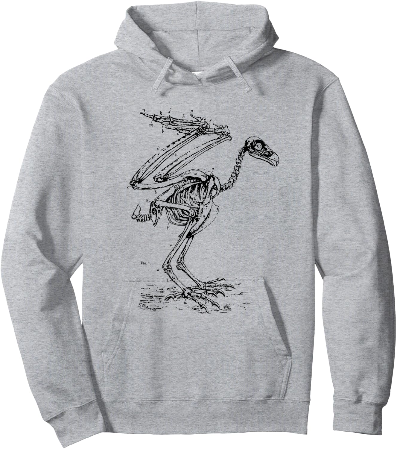 Vintage Eagle Skeleton - Scientific Diagram Bird Skull Hoodie - Hoodie | Ash
