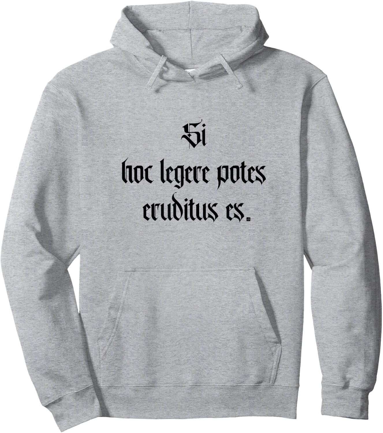 If You Can Read This, You're Over-Educated Learn Latin Hoodie - Hoodie | Ash