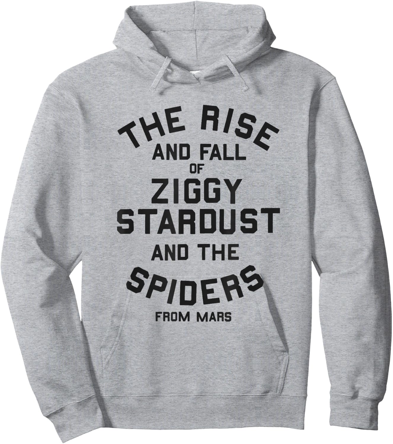 David Bowie - The Rise & Fall Hoodie - Hoodie | Ash