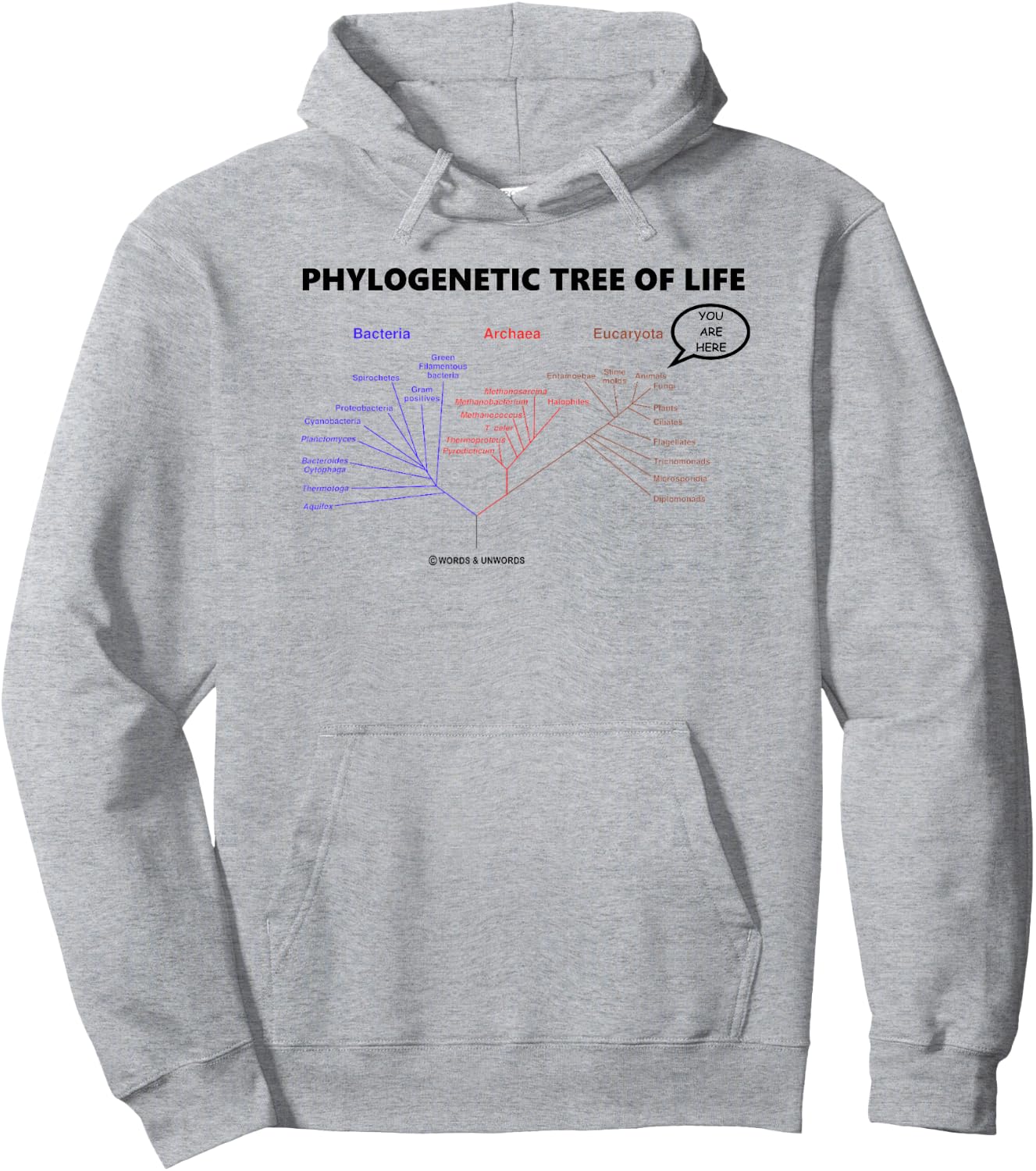 Phylogenetic Tree Of Life You Are Here Biology Geek Humor Hoodie - Hoodie | Ash