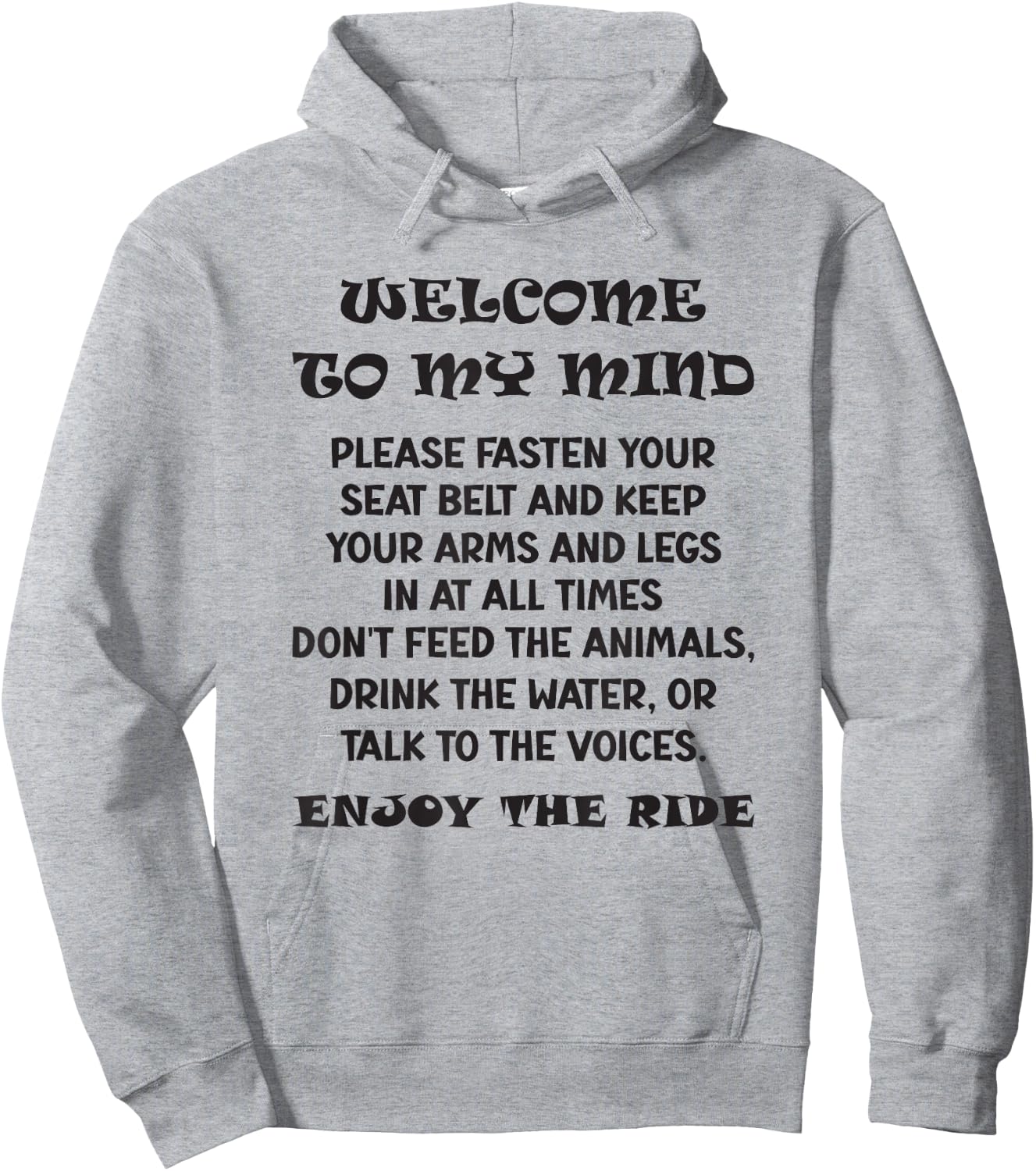 WELCOME TO MY MIND Fasten Your Seat Belt FUNNY Hoodie - Hoodie | Ash
