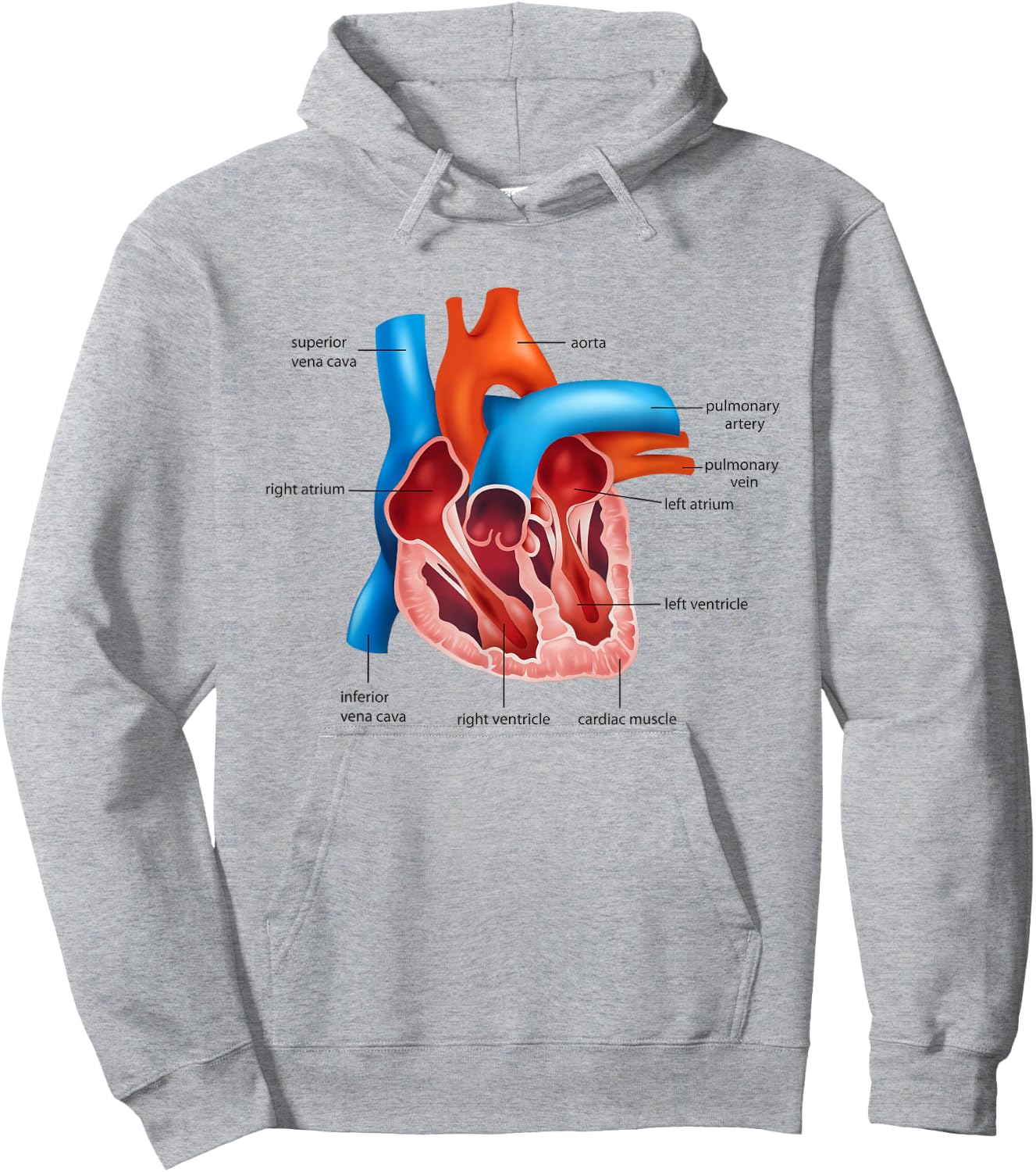 Funny Human Heart Anatomy Anatomical Heart Hoodie - Hoodie | Ash