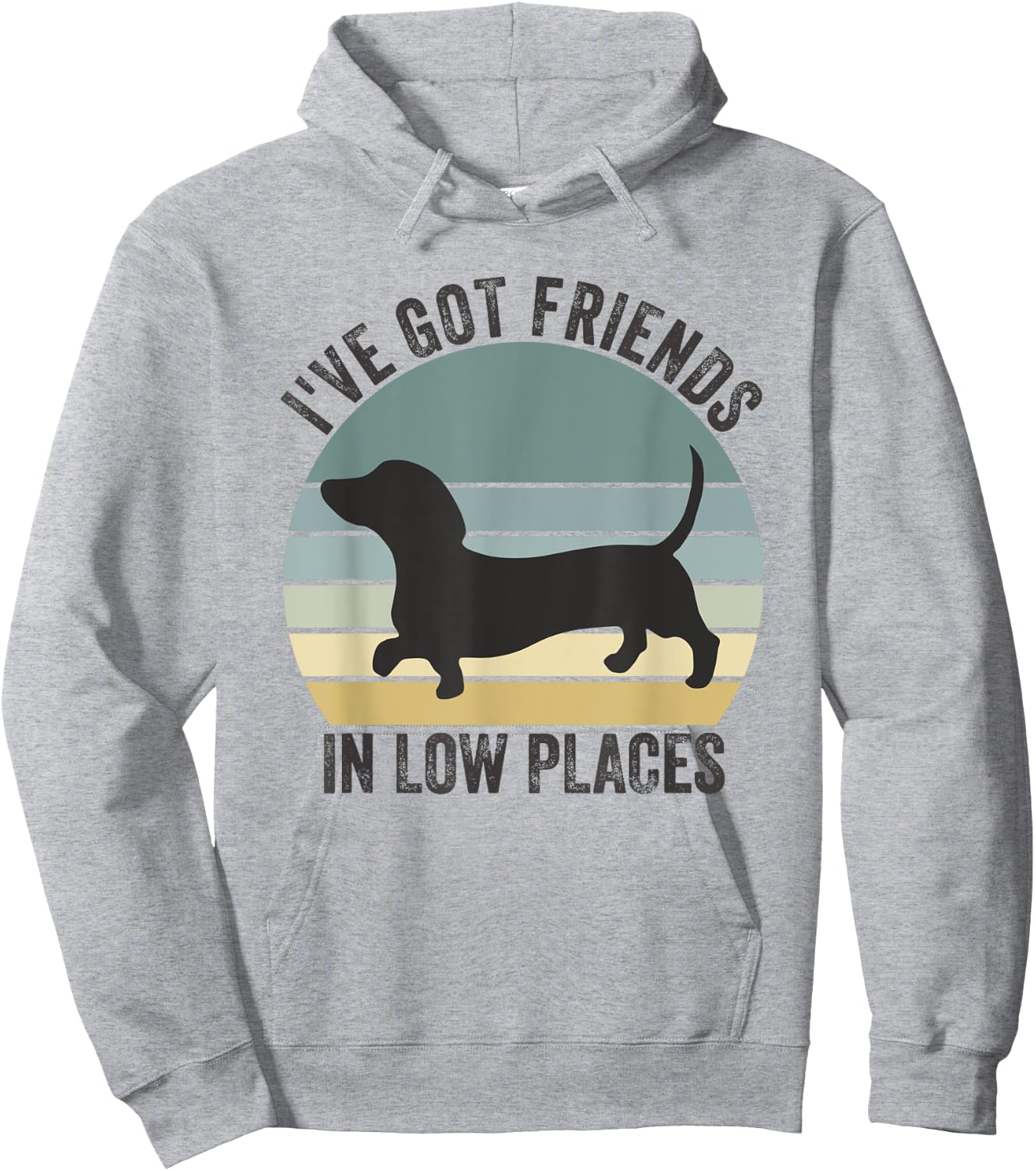 Dachshund I've Got Friends In Low Places Dog Hoodie - Hoodie | Ash