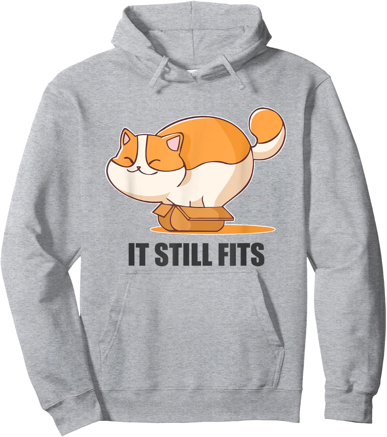 Cat In A Box Funny Fluffy Cat It Still Fits Shirt Hoodie - Hoodie | Ash