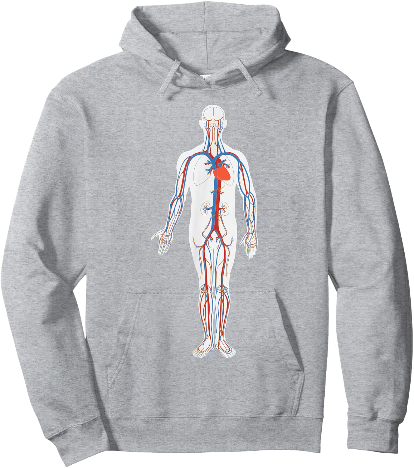 Circulatory System Anatomy Chart Arteries Veins Hoodie - Hoodie | Ash