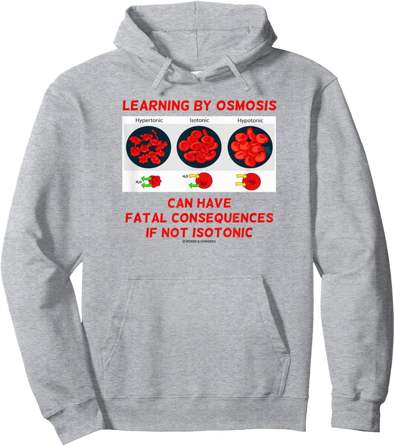 Learning By Osmosis Can Have Fatal Consequences Not Isotonic Hoodie - Hoodie | Ash