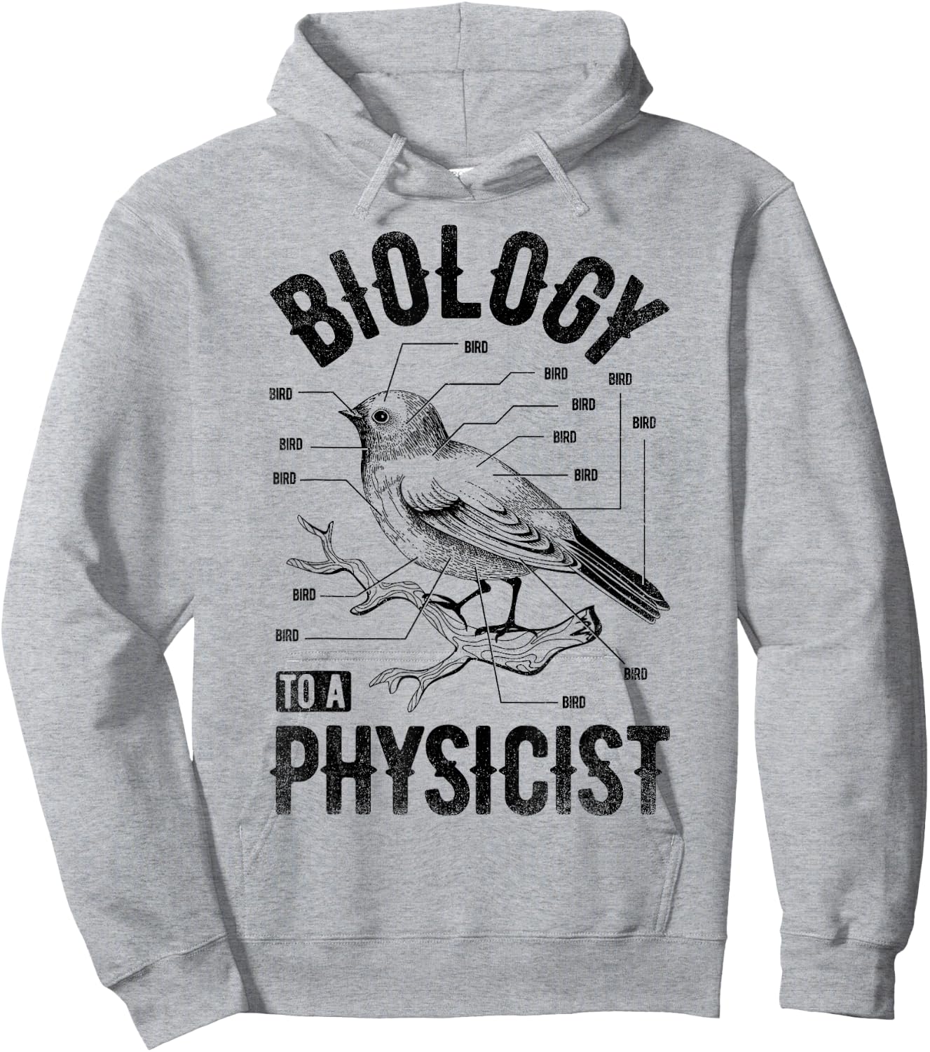 Bird Biology To A Physicist Science Funny Biologist Physics Hoodie - Hoodie | Ash