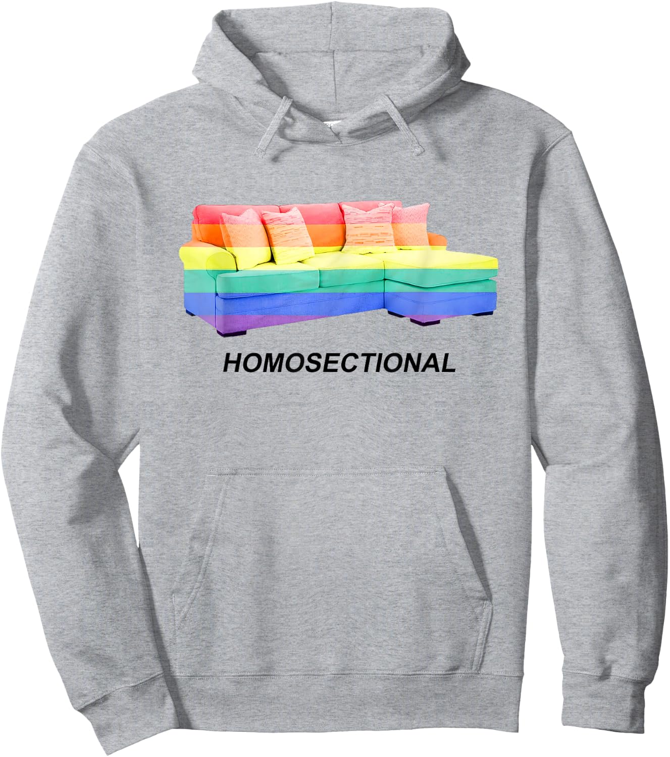 Homosectional LGBT Gay Pride Rainbow Flag Funny Saying Quote Hoodie - Hoodie | Ash