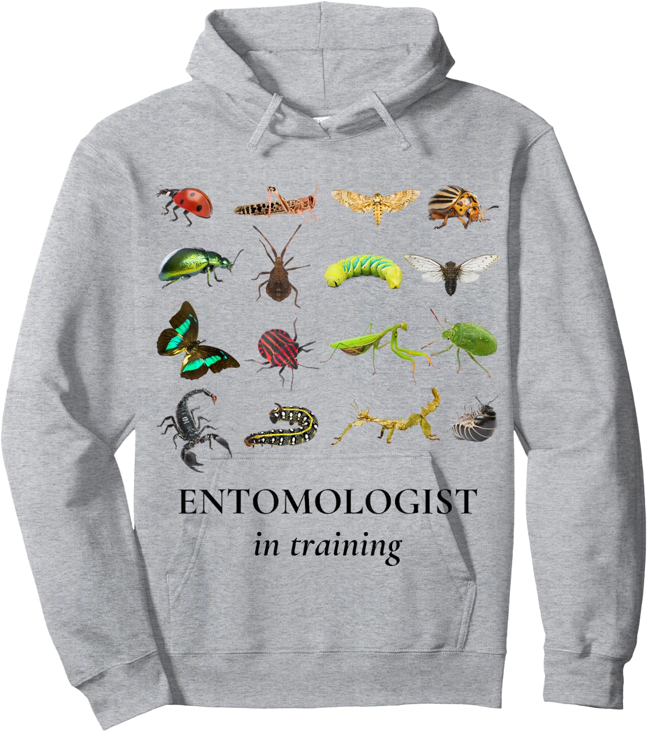 Bug Explorer Entomologist in Training Insects Kids Girl Boys Hoodie - Hoodie | Ash