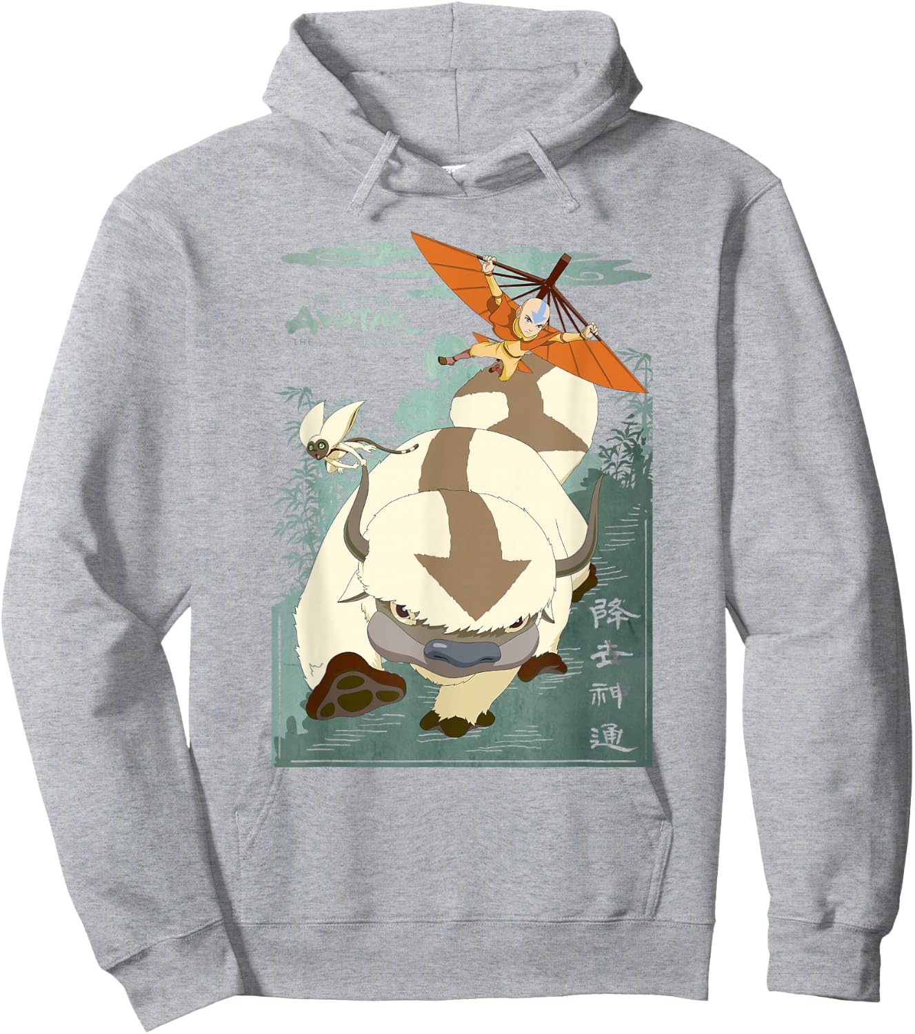 Avatar: The Last Airbender Appa Momo & Aang in Flight Small Hoodie - Hoodie | Ash