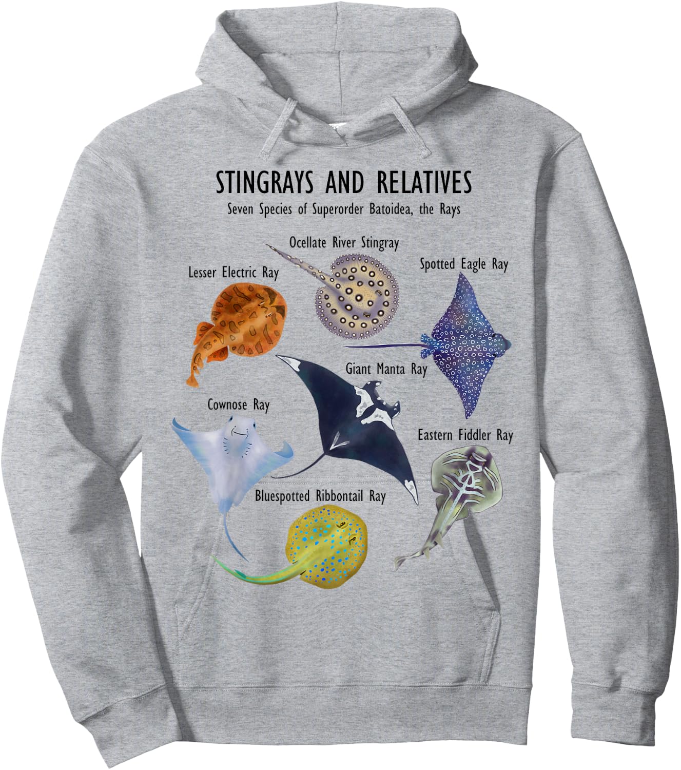 Stingray Species: Manta Ray, River Stingray, and More Hoodie - Hoodie | Ash