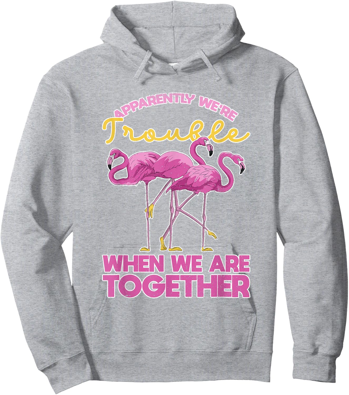 Apparently Were Trouble When We Are Together Funny Flamingo Hoodie - Hoodie | Ash