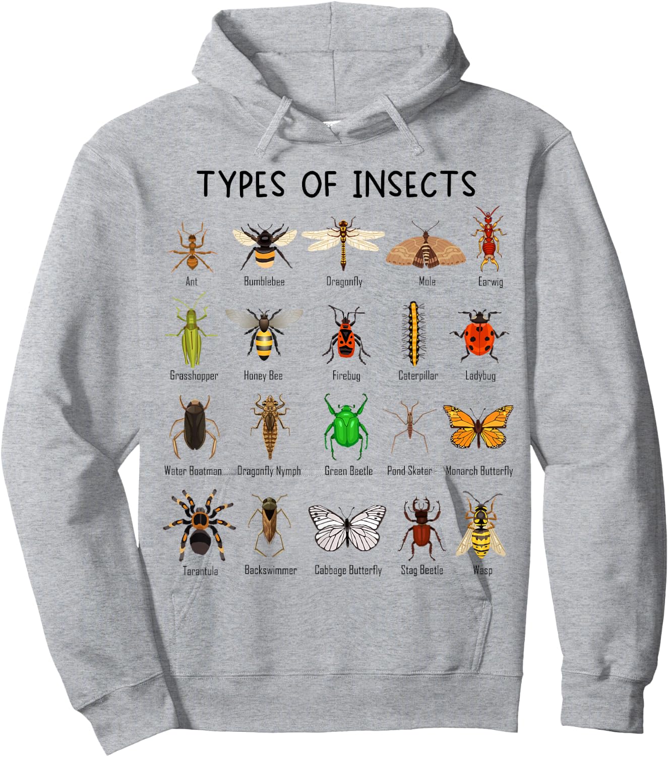 Types of Insects Science Lovers Hoodie - Hoodie | Ash